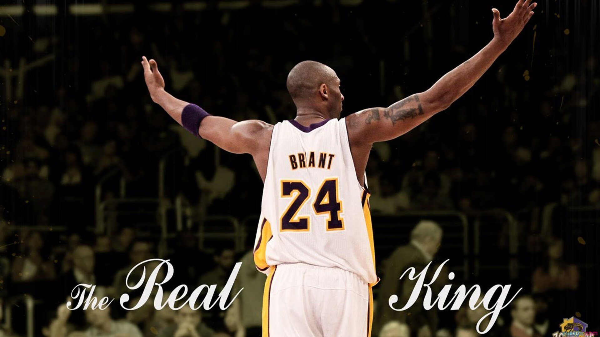 节奏掌控的奇才，吉林队如何以戈贝尔为轴心重塑比赛哲学